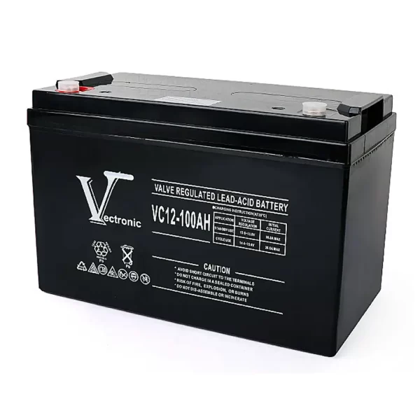 12V-100Ah Vectronic Battery